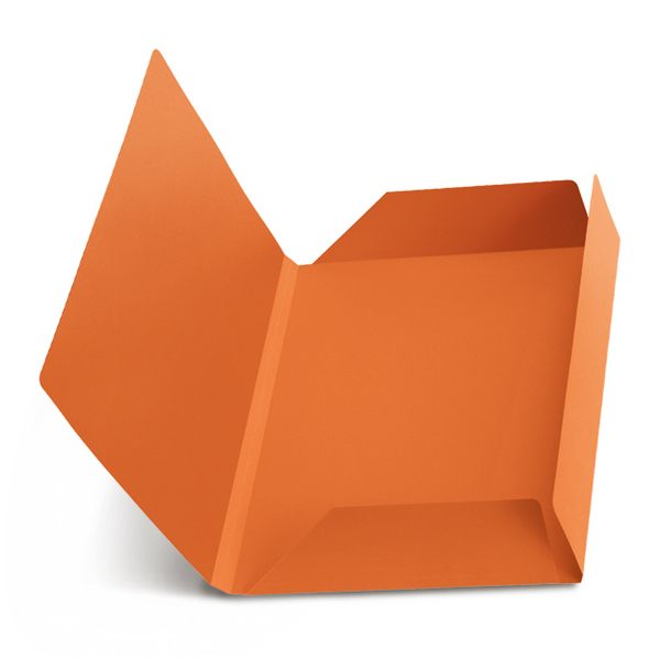 Cartelle 3 lembi Standard Manilla 50 pz. Arancio